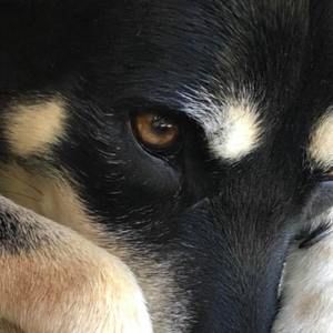 Meet your Posher, Anne